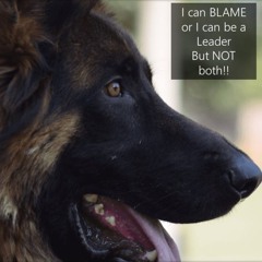 People Who Blame Versus Take Responsibility...with Rowie McEvoy