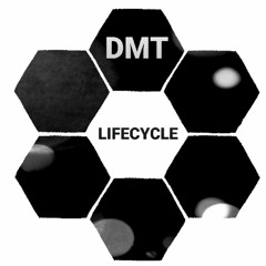 DMT - LIFECYCLE [2020]