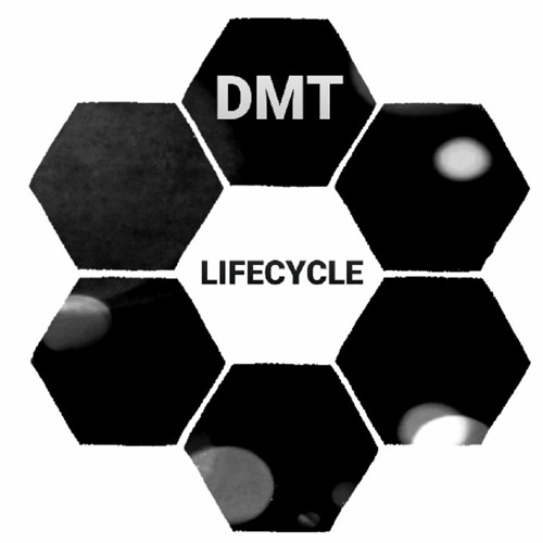 DMT - LIFECYCLE [2020]