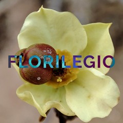 FLORILEGIO MIXTAPE #23