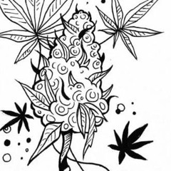 Verdinha Ganguera _ djkalm