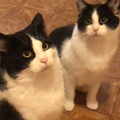 Was du nicht willst das man dir tut (Ballade).mp3