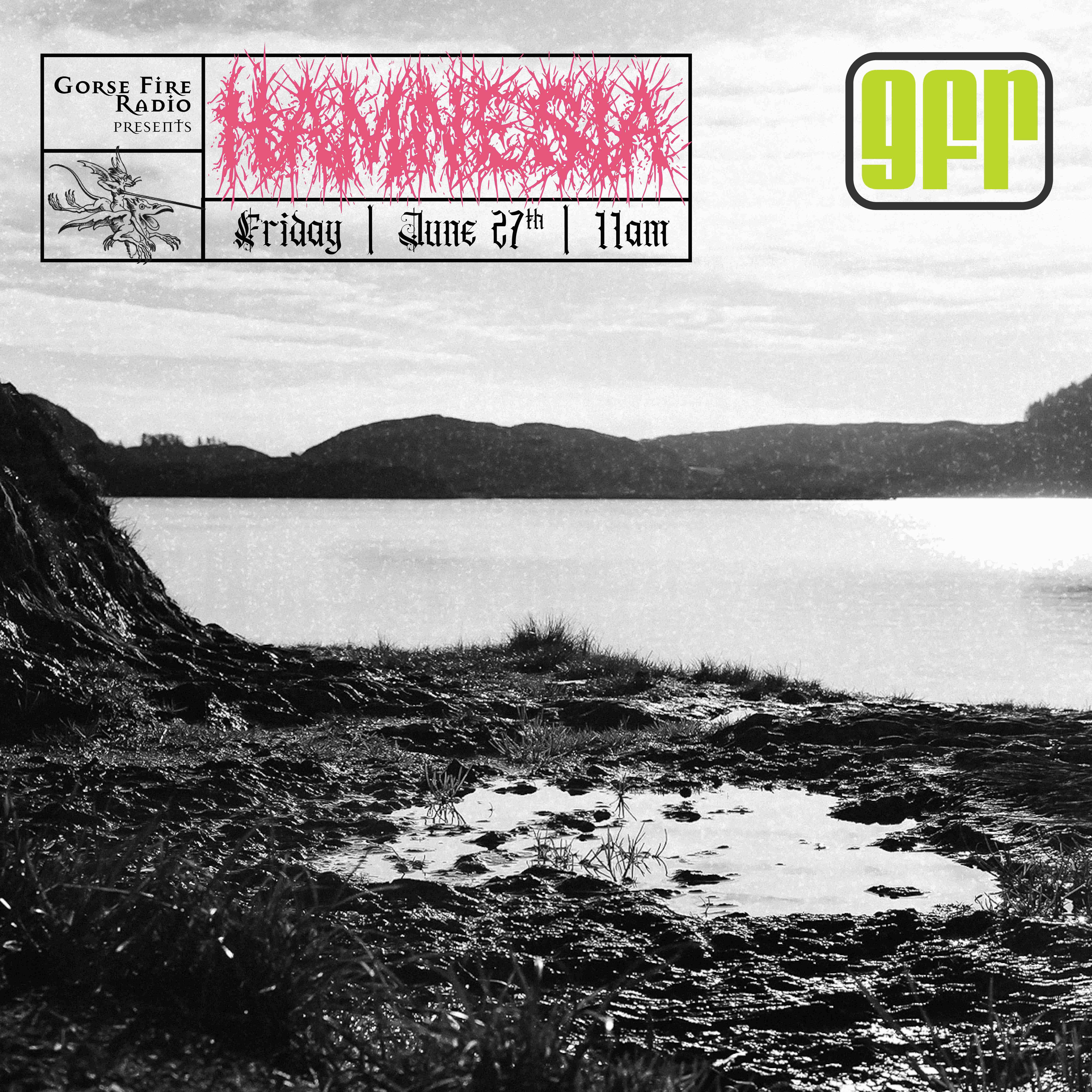Hamnesia
