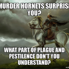 Horses with plagues