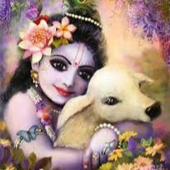 Radhey Govind Govind Gopal Nandlal