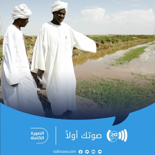 بسبب الحرب.. تدهور أوضاع المزارعين في السودان