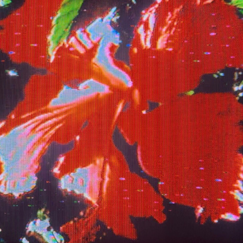 missing from the table