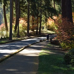 12 minutes of kitchen chores condensed into 47 secs.WAV