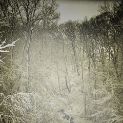 jet fuel - ihaterxmance x Noise Complaint x scorpio (løst)