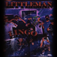 Lingo - LittleMan
