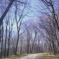 The Journey I