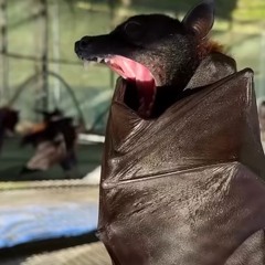 I Had First (BKTHENXRD)