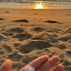 바닷가