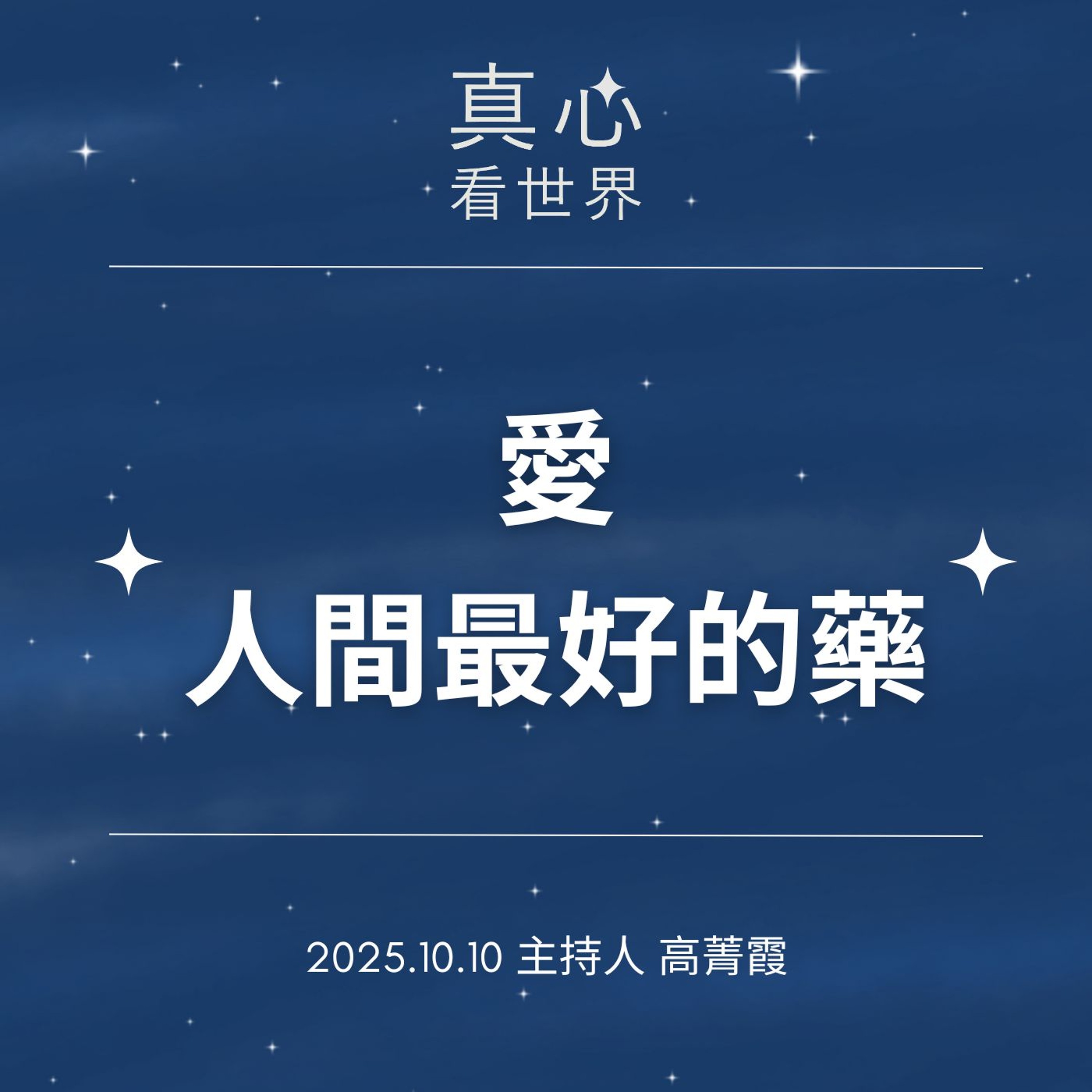【真心看世界】愛是人間最好的藥2025人醫年會 上人開示1010