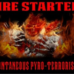 Show Sample for 9/9/20: FIRE STARTER – SPONTANEOUS PYRO-TERRORISM W/ DEBORAH TAVARES