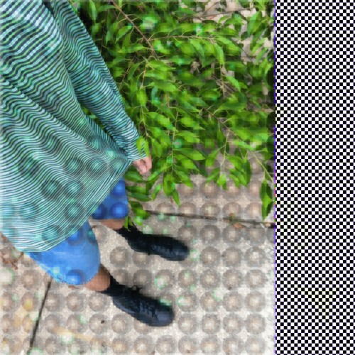 shapeshifter