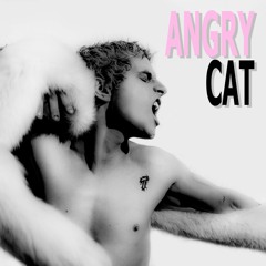 Angry Cat