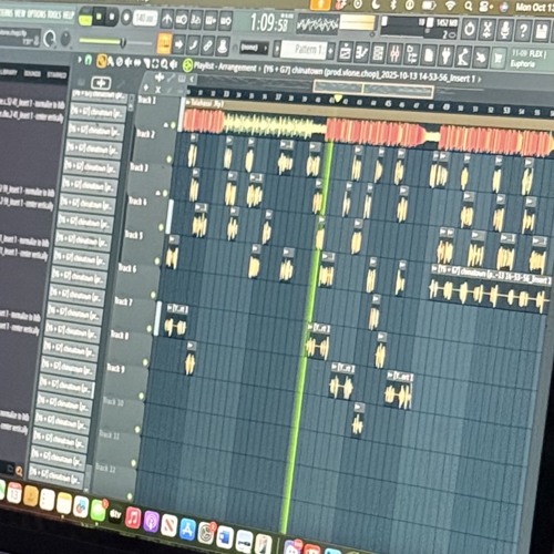 Siamese Twins @lazermade