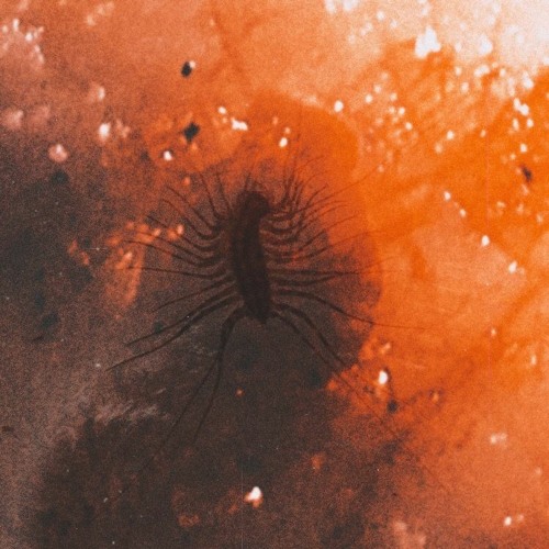 Stream とても悲しいです By Racoon1c Listen Online For Free On Soundcloud Stream とても悲しいです By Racoon1c Listen Online For Free On Soundcloud