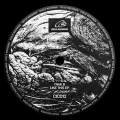 CIC012 | Trak B - Do Shit