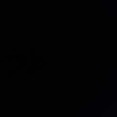 Polo G - Barely Holdin' On