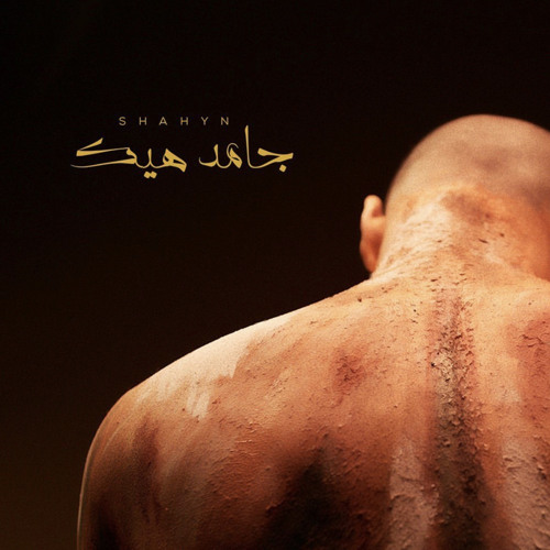 شاهين - جامد هيك | shahyn - Gamed Heek