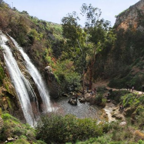 Robbin super power version