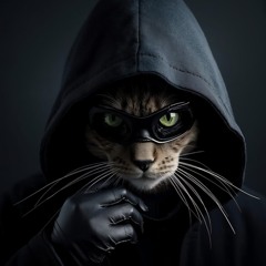 Cat Burgulary