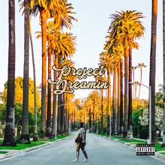 Money West - Project Dreaming