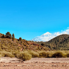 In-House Bakery Grooves (Vinyl-no-filter-mix still funky)