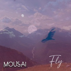 Fly