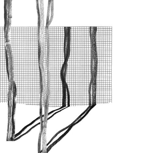 [01205] Various - Systema Naturae II