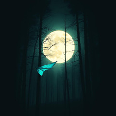 By the night fire
