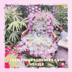 Totalfuckingawesomeness.com/werule