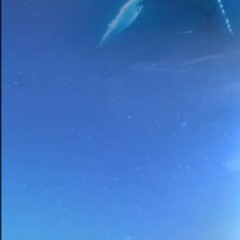 Andro - Ночной Рейс -BLACKANDDIRTY Remix