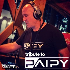 Sound Therapie - Best of.... - The Tribute Mix To Paipy