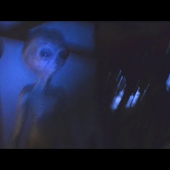 WHYDONIGGAS(wokeup)remix