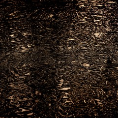 3D Illusion and Enlightenment (Acceptance Meditation)