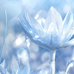 Flowers are blooming in antartica