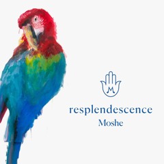 Resplendescence (moshe halperin) WAV