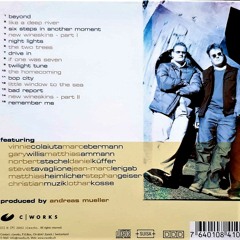 Not By Accident - TheTwoTrees (Teaser)