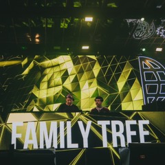 Family Tree - Warmup set night.