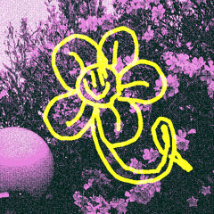MEMPHIS MAGNOLIA (FREE DL)