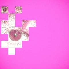 M.I.A.M.I. (1jowisen)