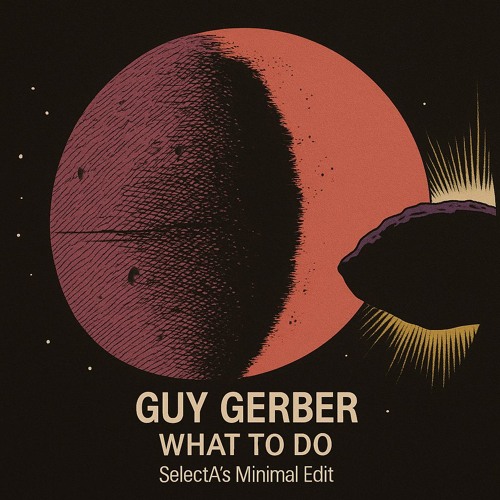 What to Do - Guy Gerber (SelectA Edit)