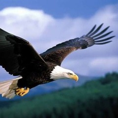 Aguila Aguilé-Luci e Dami cover.m4a