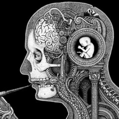 Homunculus Scratch Track 1