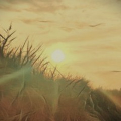 Seasons Mix