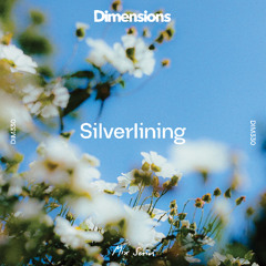 DIM330 - Silverlining