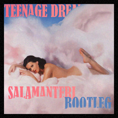 Teenage Dream [Salamanteri Bootleg]